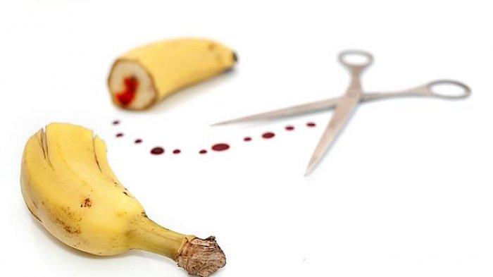 ‘Belum Klimaks’ Sudah “Muncrat” Gadis Muda Potong Alat Vital Kekasihnya