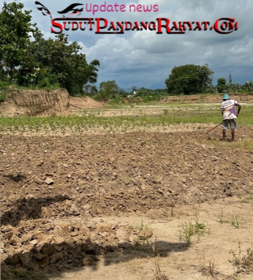 Pencetakan Sawah Dilingkungan Girang Giring Sukses, Petani Ucapkan Terimakasih