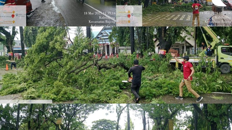 Forkopincam Kecamatan Bajeng Melakukan Pembersihan dan Pemangkasan Pohon depan Masjid Raya Limbung