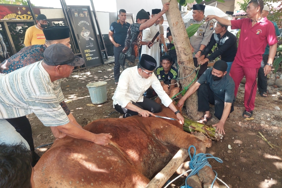 Pemotongan Hewan Kurban yang Dilaksanakan di Halaman Belakang Kantor Polres Gowa