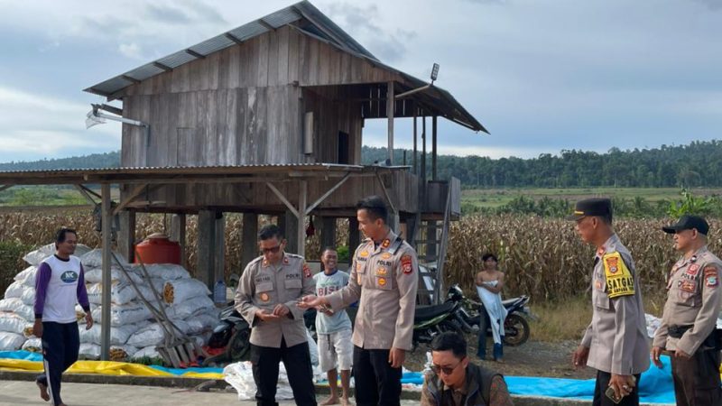 Dukung Ketahanan Pangan, Kapolres Touna Kawal Panen Petani