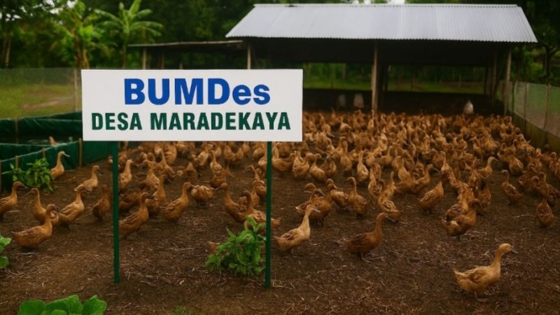 Anggota DPR Gowa Dari Fraksi PAN H Sila: Pentingnya Dana BUMDes Maradekayya Bisa Dikelola Dengan Baik 