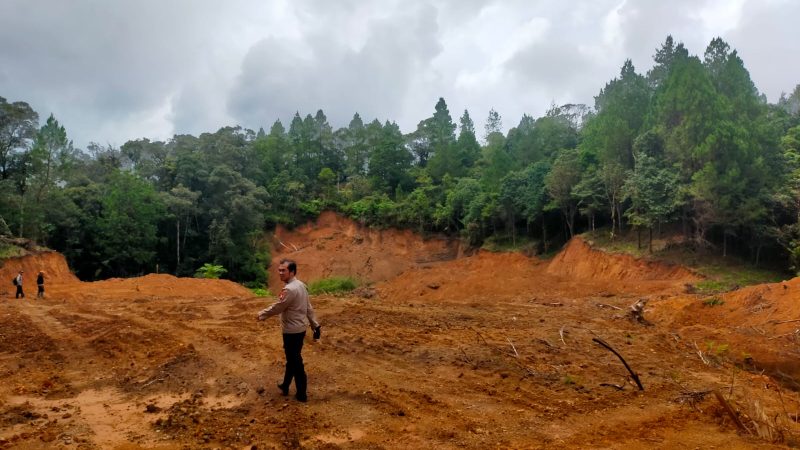 Miris !!! Puluhan Hektare Hutan Lindung di Gowa Gundul Akibat Ilegal Logging