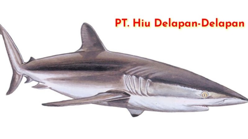 Segel Gudang PT. Delapan-Delapan yang Diduga Produksi Sirip Ikan Hiu: “Satwa yang di Lindungi”