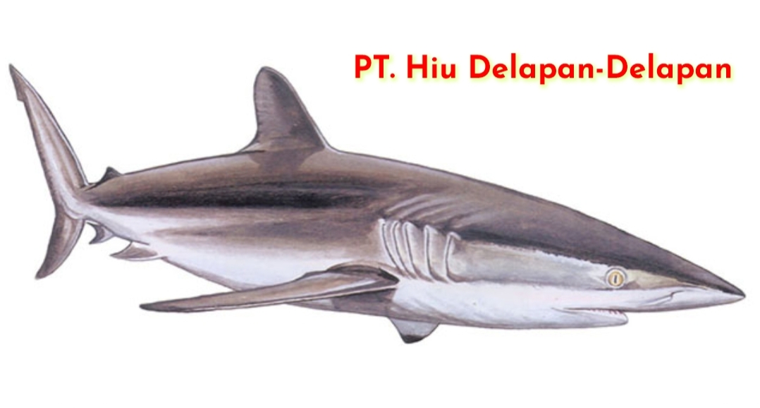 Segel Gudang PT. Delapan-Delapan yang Diduga Produksi Sirip Ikan Hiu: “Satwa yang di Lindungi”