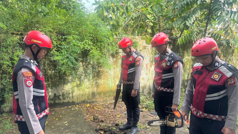 Cuaca Buruk Sebabkan Pohon Tumbang, Perintis Presisi Polres Gowa Lakukan Evakuasi